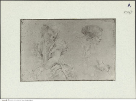 Vorderseite von bh326501_recto