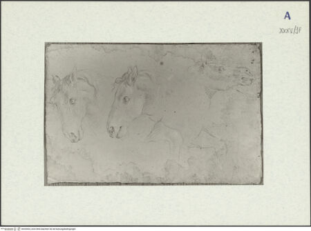 Vorderseite von bh326503_recto