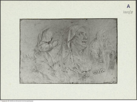 Vorderseite von bh326504_recto