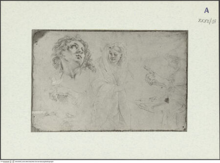 Vorderseite von bh326505_recto