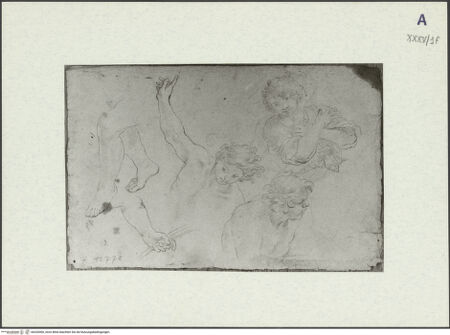 Vorderseite von bh326506_recto