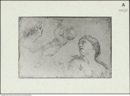 Vorderseite von bh326509_recto