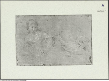 Vorderseite von bh326517_recto