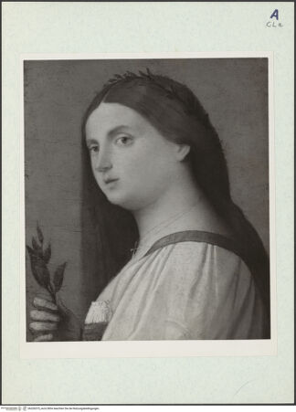 Vorderseite von bh326575_recto