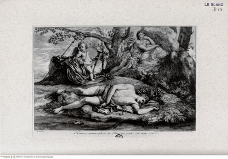 Vorderseite von Landesbildstelle Rheinland [http://creativecommons.org/publicdomain/mark/1.0/] Die Metamorphose des Narzissus - , bh326734. Foto.
