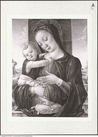 Vorderseite von bh327311_recto