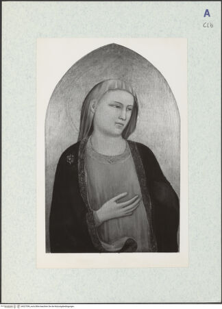 Vorderseite von bh327559_recto