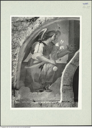 Vorderseite von bh327648_recto