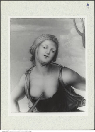 Vorderseite von bh327825_recto