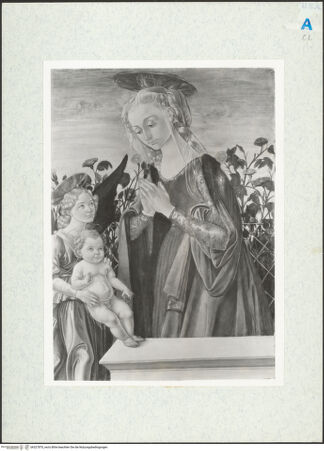 Vorderseite von Museo de Arte de Ponce [https://www.deutsche-digitale-bibliothek.de/content/lizenzen/rv-ez/] Madonna mit Kind und einem Engel - , bh327870_recto. Foto.