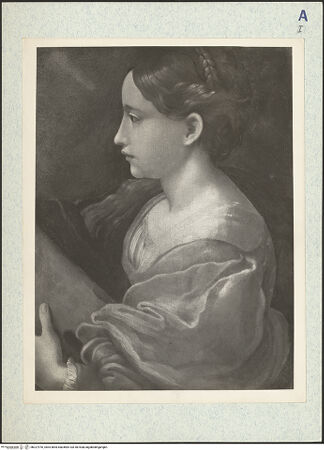 Vorderseite von bh327976_recto