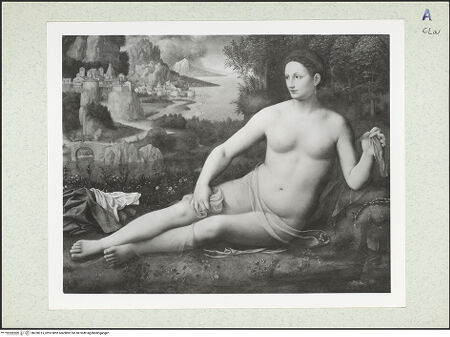 Vorderseite von bh328015_recto