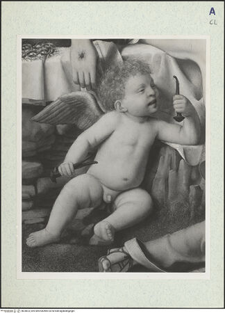 Vorderseite von bh328023_recto