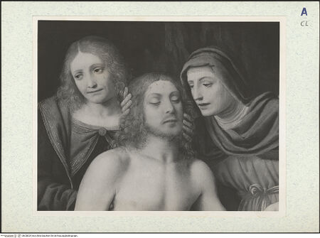 Vorderseite von bh328024_recto