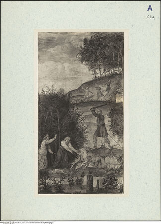 Vorderseite von bh328031_recto