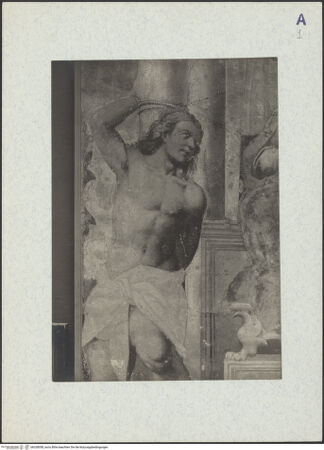 Vorderseite von bh328058_recto