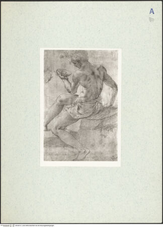 Vorderseite von bh328127_recto