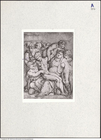 Vorderseite von bh328138_recto