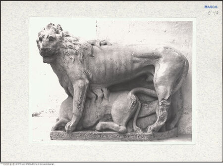 Vorderseite von bh328151_recto