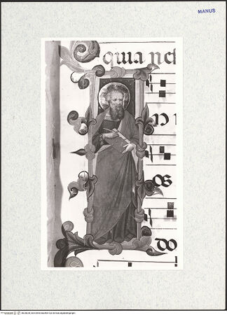 Vorderseite von bh328230_recto