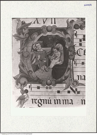 Vorderseite von bh328233_recto