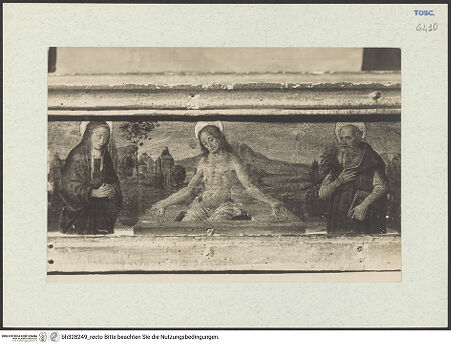 Vorderseite von bh328249_recto