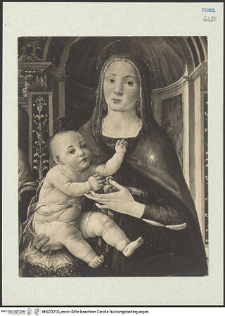 Vorderseite von bh328250_recto