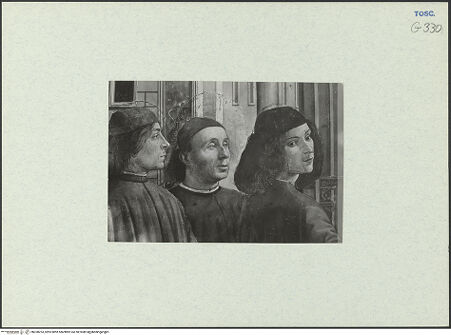 Vorderseite von bh328253_recto