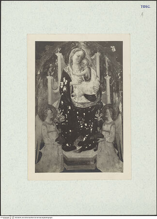 Vorderseite von bh328289_recto