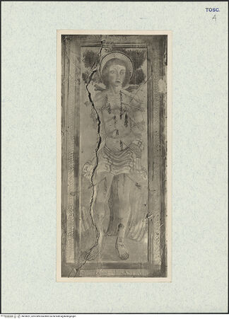 Vorderseite von bh328291_recto