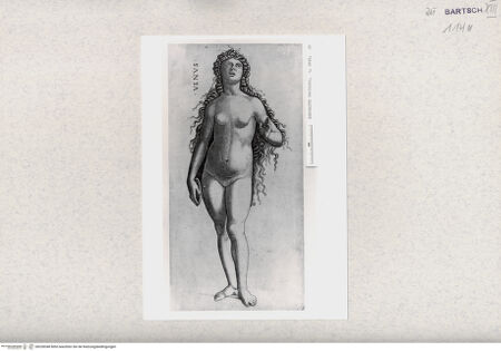 Vorderseite von  [http://creativecommons.org/publicdomain/mark/1.0/] ... - , bh328348. Foto.