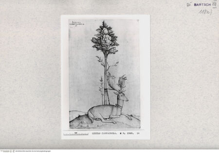 Vorderseite von  [http://creativecommons.org/publicdomain/mark/1.0/] ... - , bh328366. Foto.