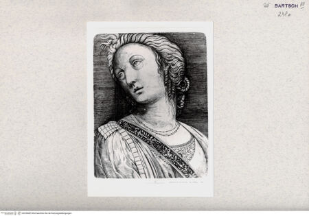 Vorderseite von  [http://creativecommons.org/publicdomain/mark/1.0/] ... - , bh328482. Foto.