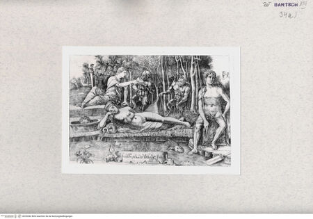 Vorderseite von  [http://creativecommons.org/publicdomain/mark/1.0/] ... - , bh328542. Foto.