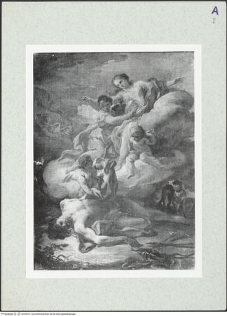 Vorderseite von bh328731_recto