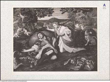 Vorderseite von bh328798_recto