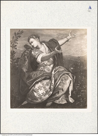 Vorderseite von bh328813_recto