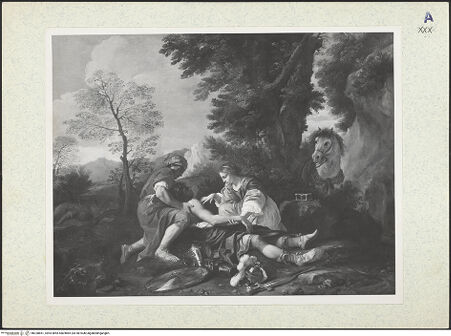 Vorderseite von bh328851_recto