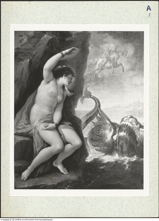 Vorderseite von bh328852_recto