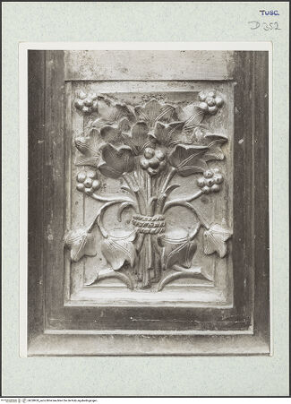 Vorderseite von bh328920_recto