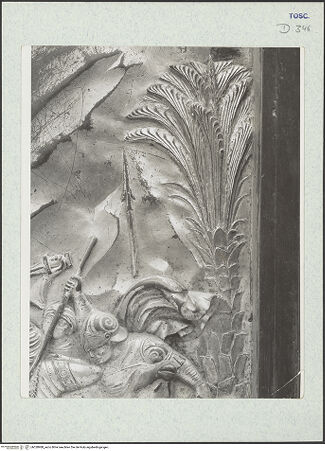 Vorderseite von bh328988_recto