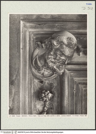 Vorderseite von bh329019_recto