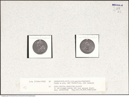 Vorderseite von bh329299_bh329300_recto