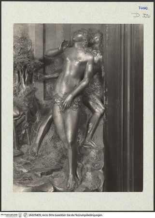 Vorderseite von bh329409_recto