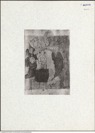 Vorderseite von bh329431_recto