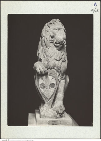 Vorderseite von bh329434_recto