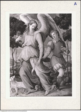 Vorderseite von bh329570_recto