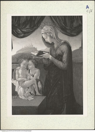 Vorderseite von bh329576_recto