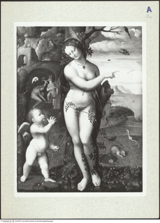 Vorderseite von bh329578_recto