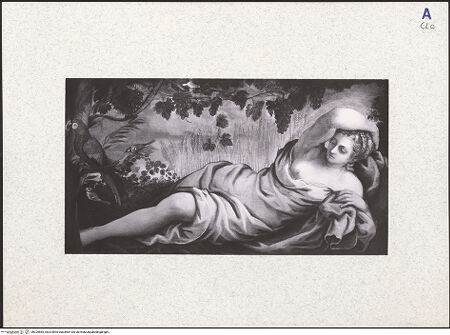 Vorderseite von bh329585_recto